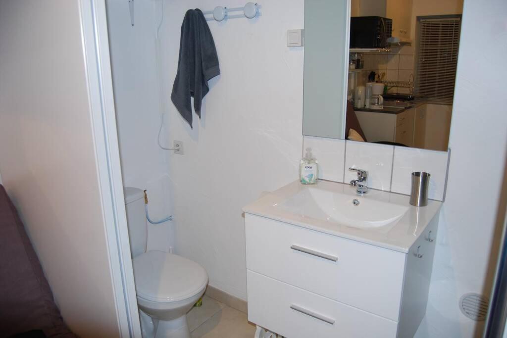 L'Atelier A 100 M De Tarbes Sud Villa Laloubere Eksteriør billede